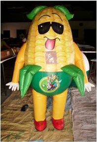 standard_pos_inflatables20
